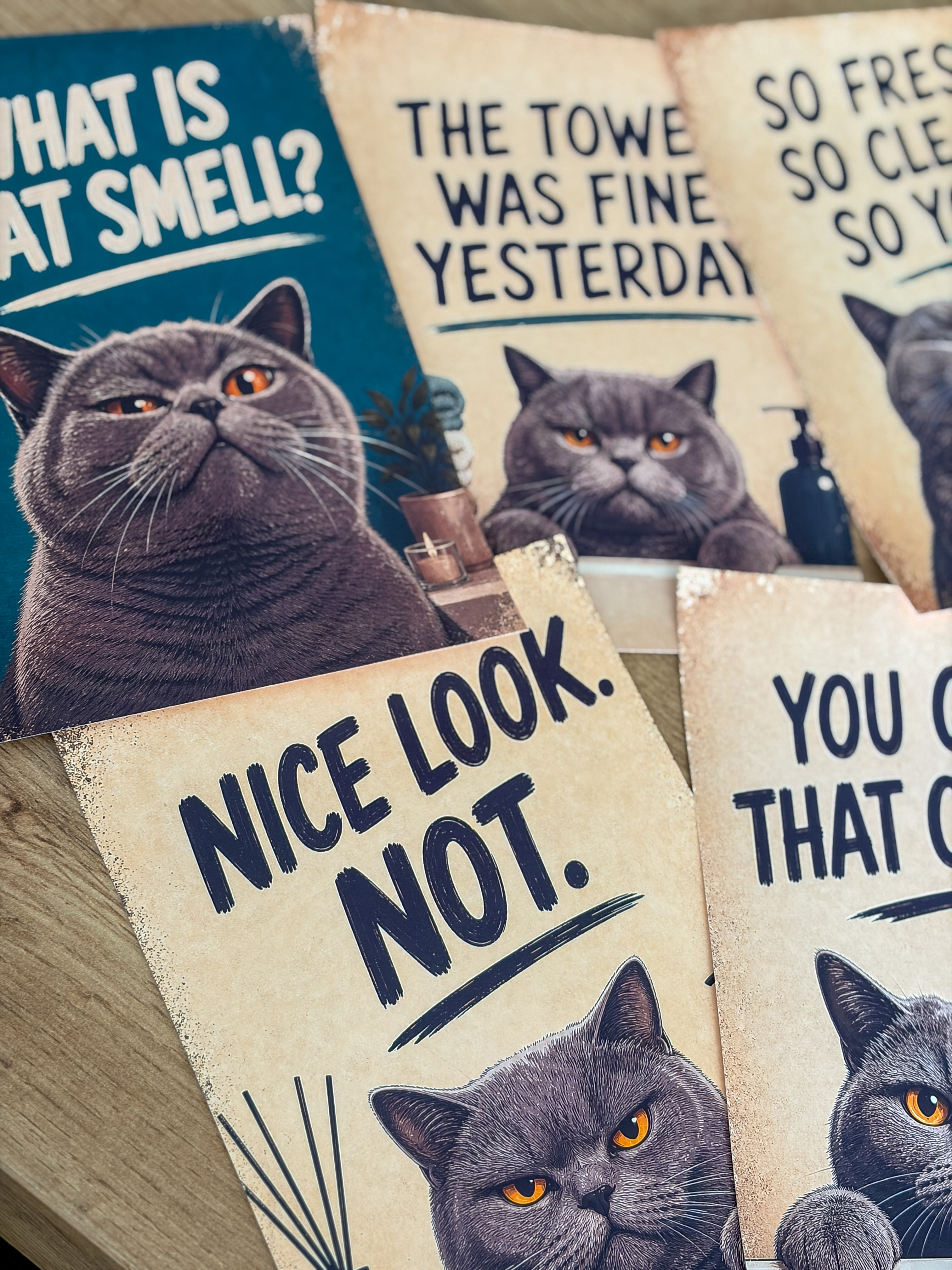 Lustiges Katzen Badezimmer Poster Set | A5 Prints auf 180 g Fotopapier | Vintage Katzenbilder | Gäste WC Deko | Geschenk