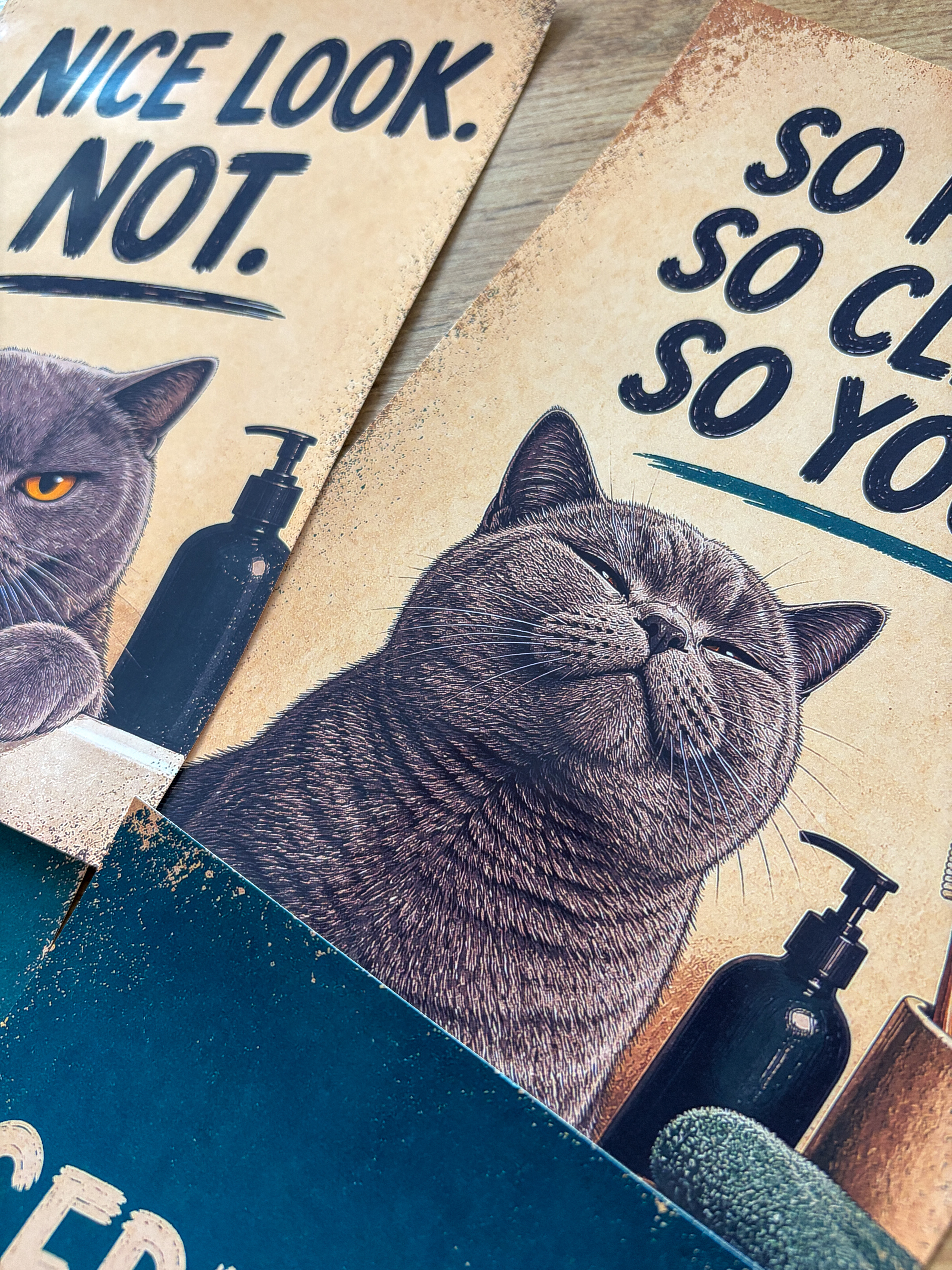 Lustiges Katzen Badezimmer Poster Set | A5 Prints auf 180 g Fotopapier | Vintage Katzenbilder | Gäste WC Deko | Geschenk
